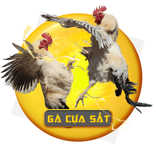 gacuasa-sat